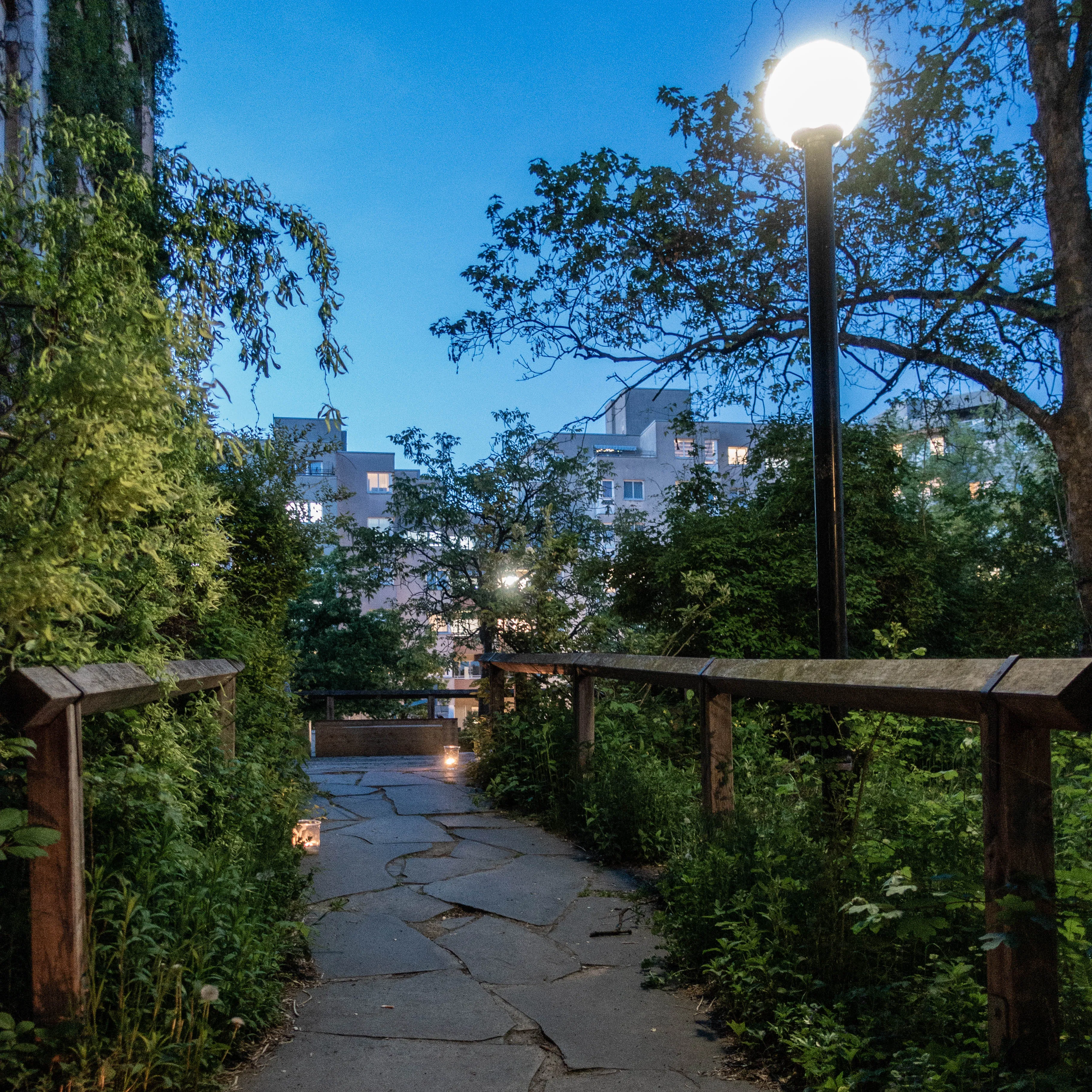 Path